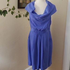 Periwinkle silk dress.